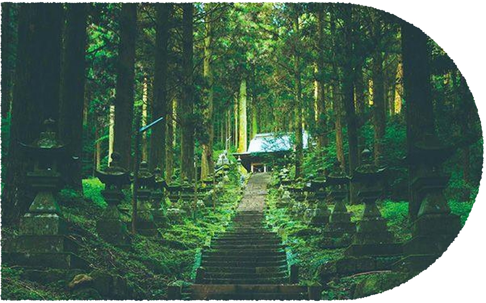 写真：上色見熊野座神社