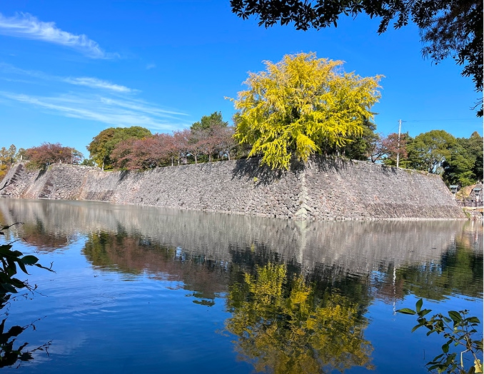 写真：八代城跡