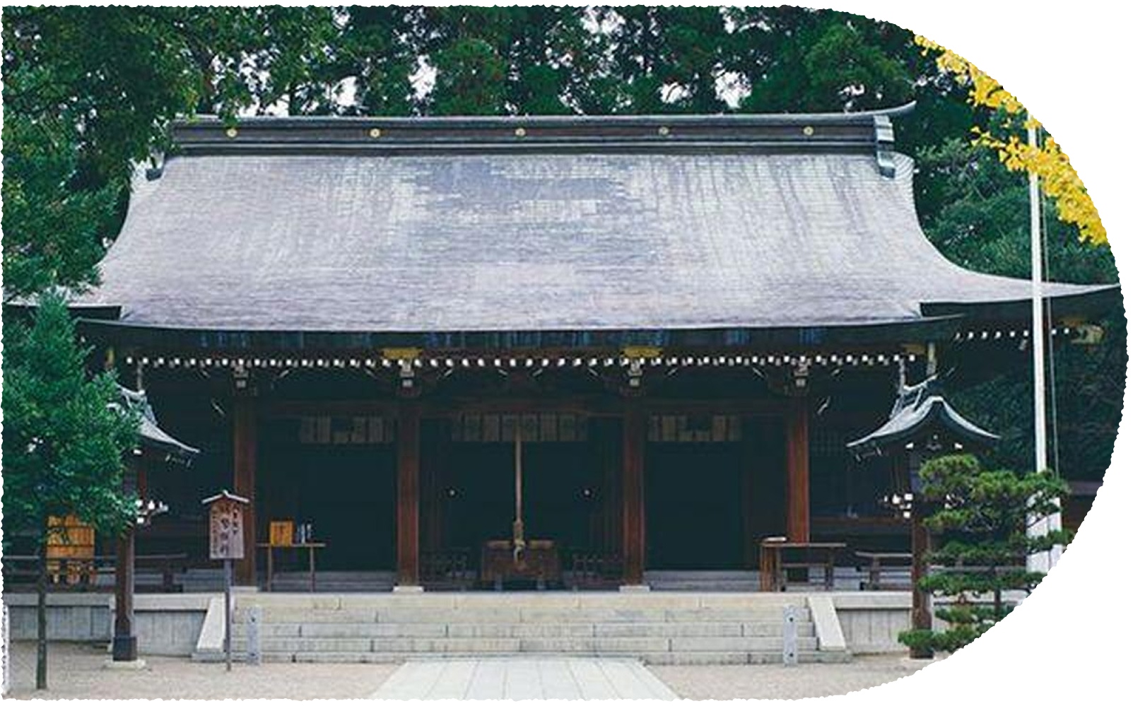 写真：菊池神社