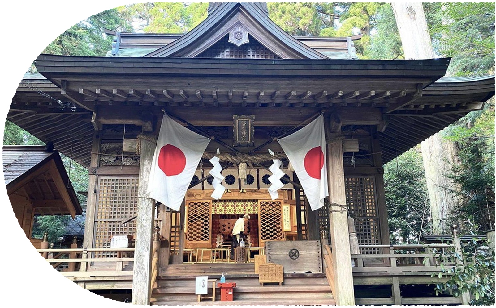 写真：幣立神宮