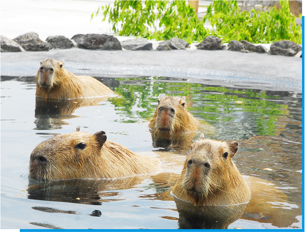 阿蘇ファームランド