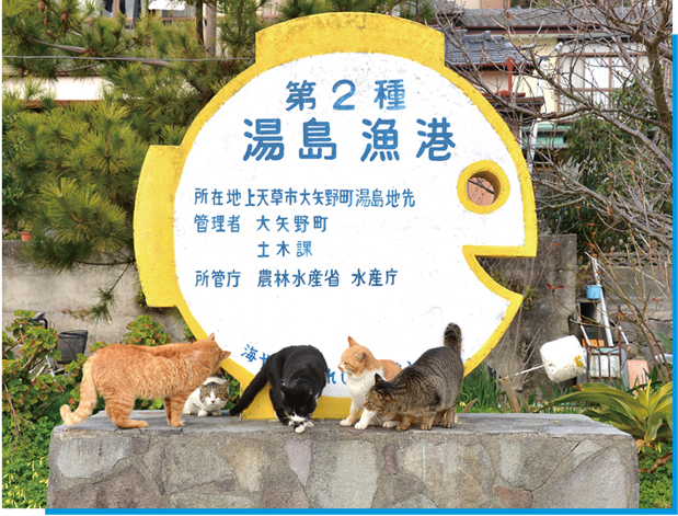 ”猫島”湯島ガイドツアー