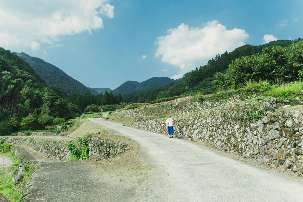 写真：棚田へ続く道