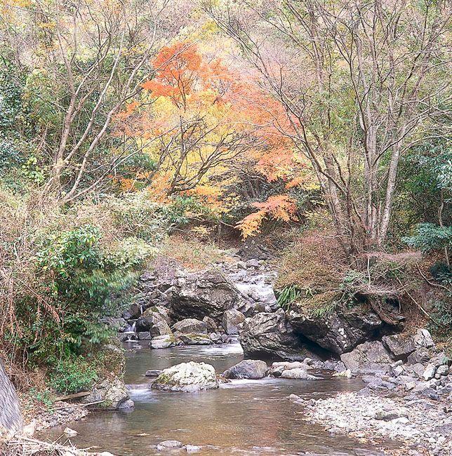 下梶原