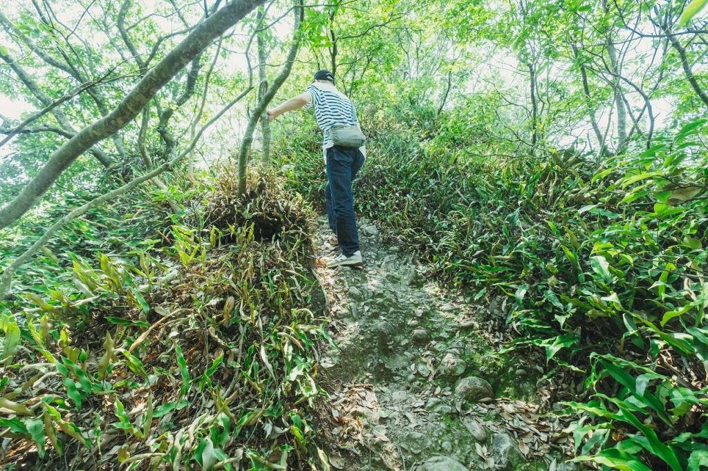 写真：どんどん険しくなっていく山道