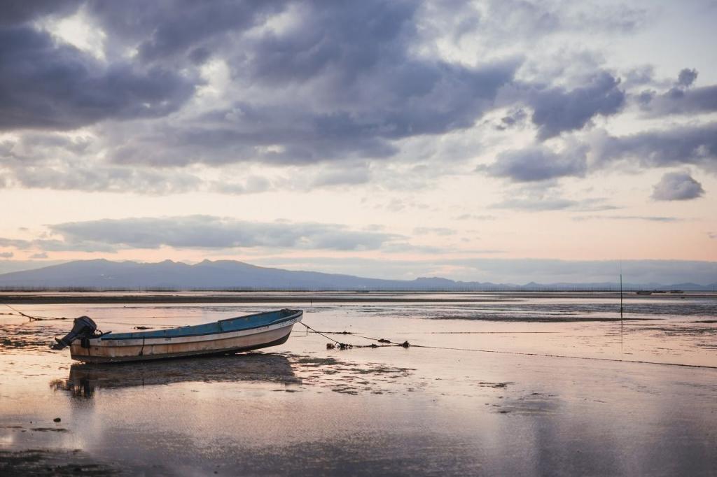 写真：荒尾干潟と夕日