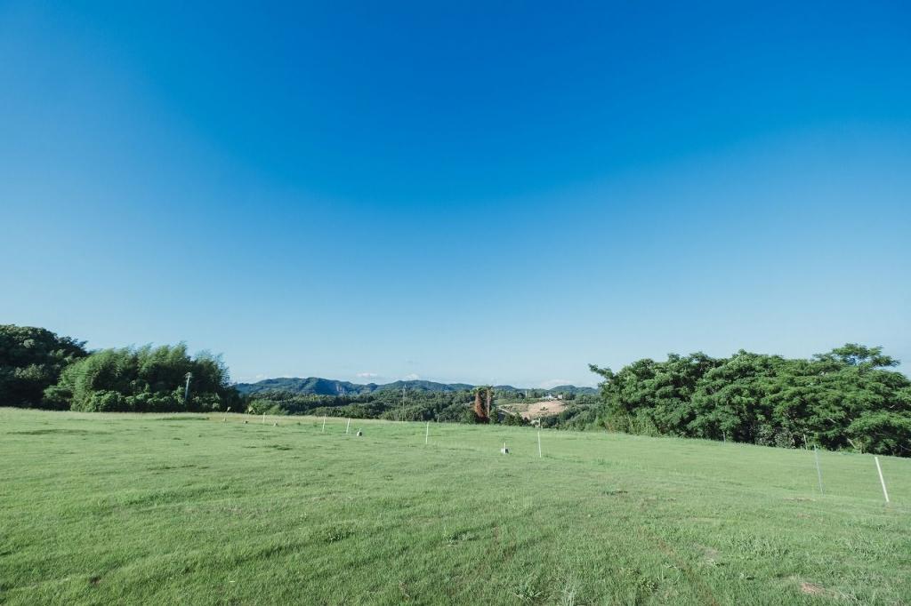 写真：広い芝生と青い空