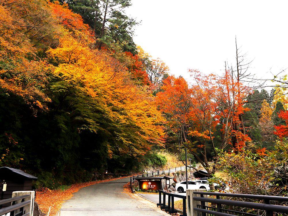 画像：地獄・垂玉温泉