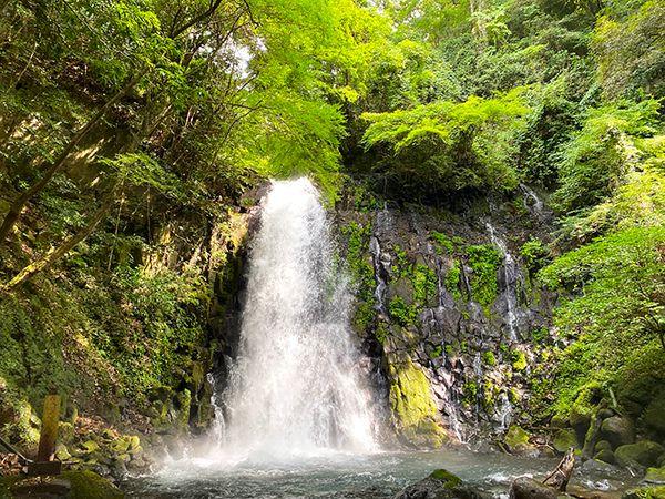 白糸の滝｜九州への旅行や観光情報は九州旅ネット