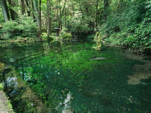 池山水源の写真