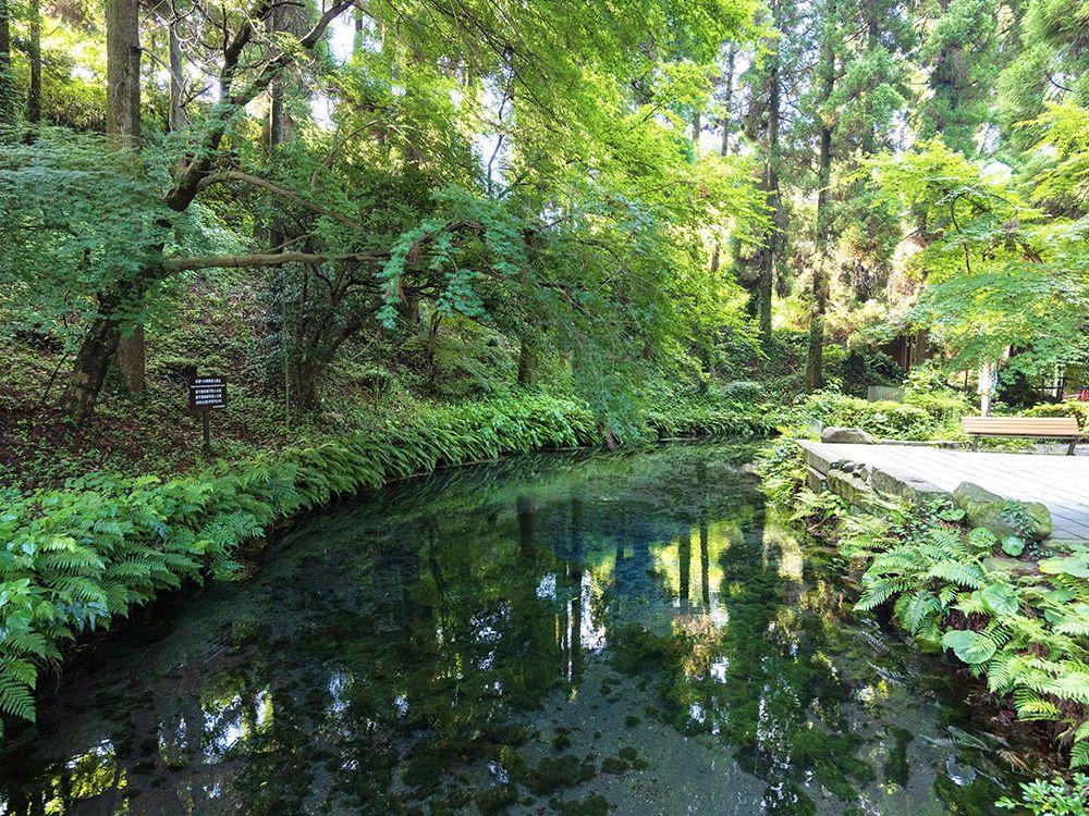 白川水源