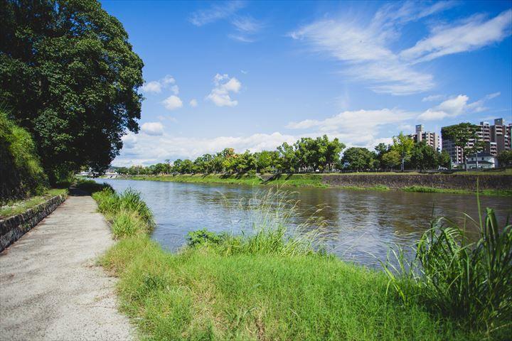 白川河川敷 観光地 公式 熊本県観光サイト もっと もーっと くまもっと