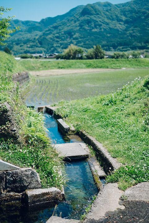 写真：水田への水路