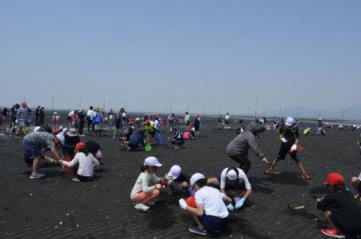 長浜海岸の潮干狩り