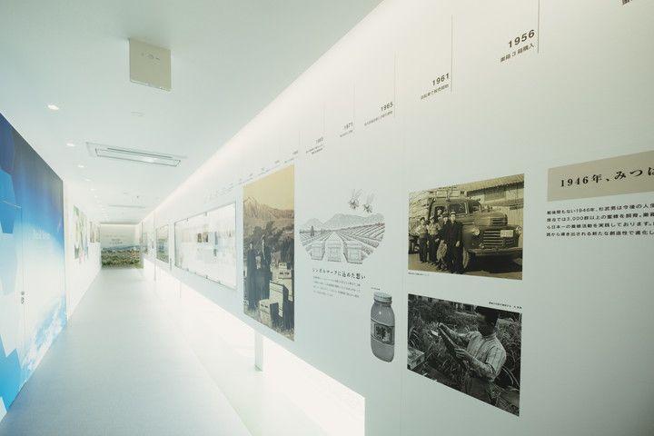 写真:スバコハニーミュージアムの内観