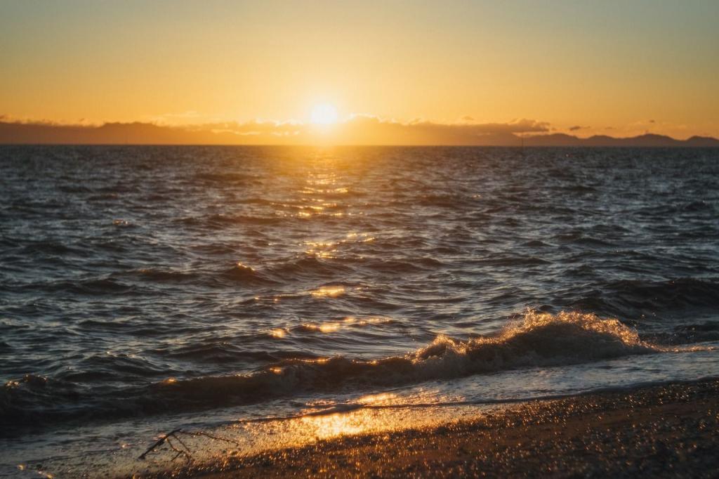 写真：荒尾干潟と夕日