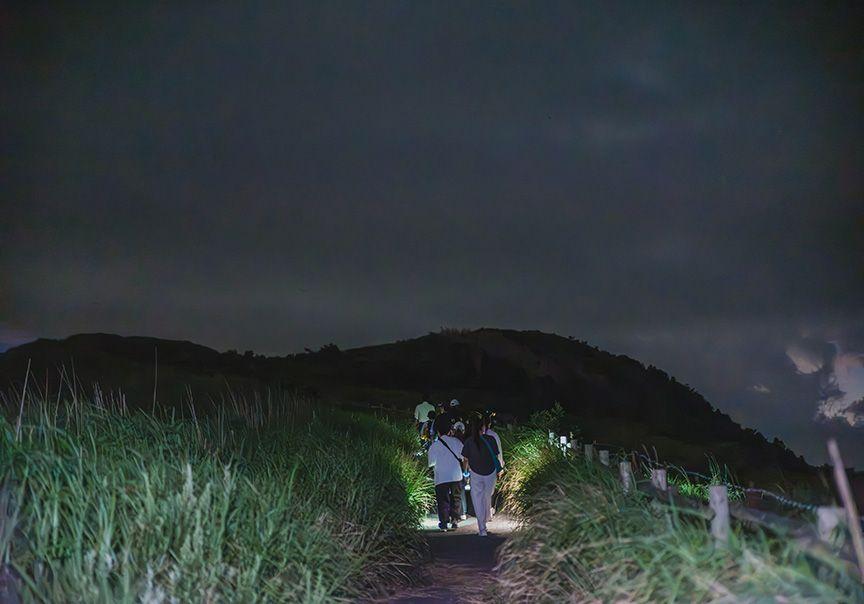 真っ暗な草原の中を進む参加者の後ろ姿の写真