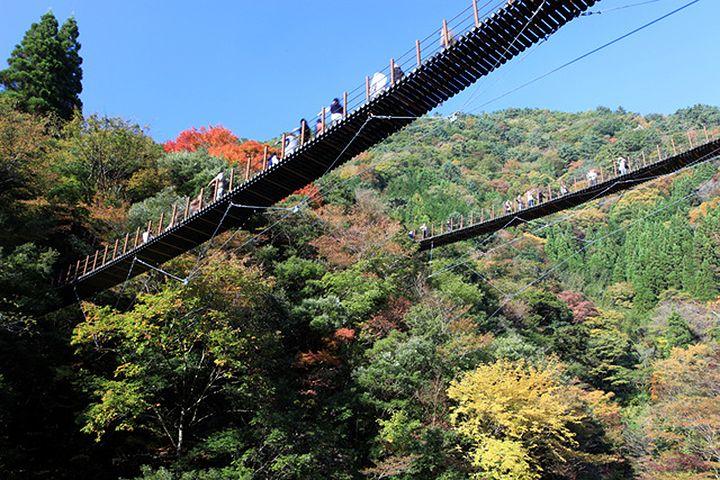 吊り橋と紅葉の写真