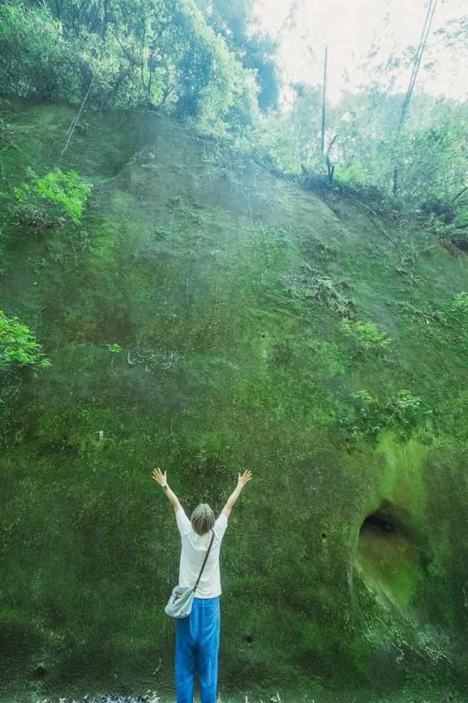 写真：苔に覆われた岩