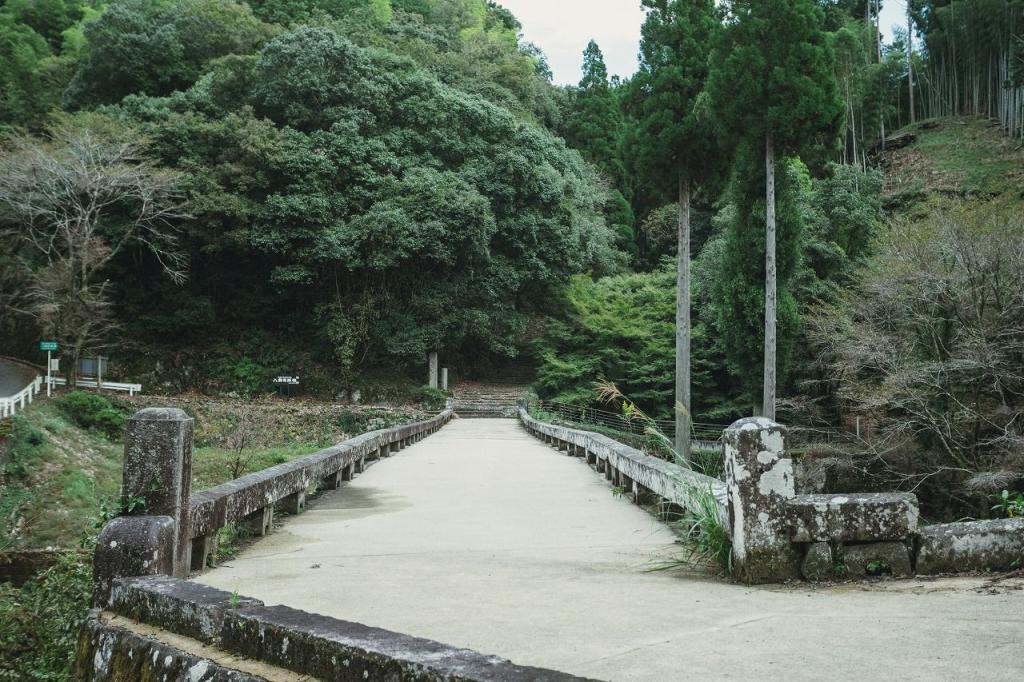 写真：石橋