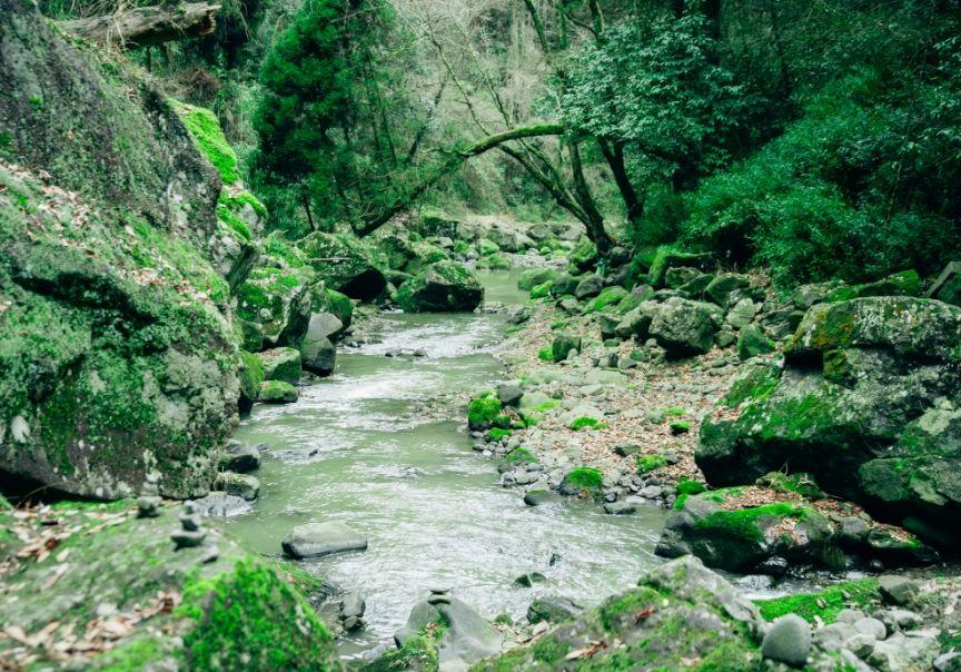 画像:山の中を流れる川の様子