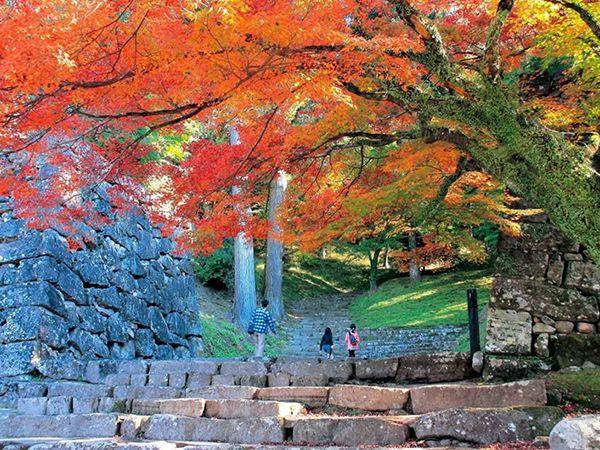 人吉城跡の画像