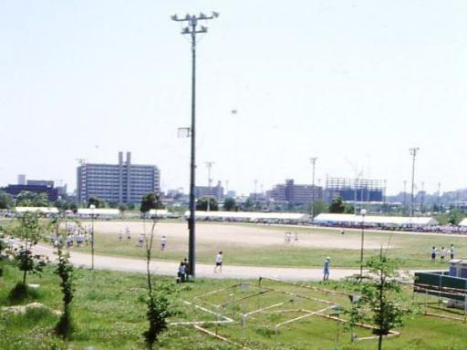 坪井川緑地の画像