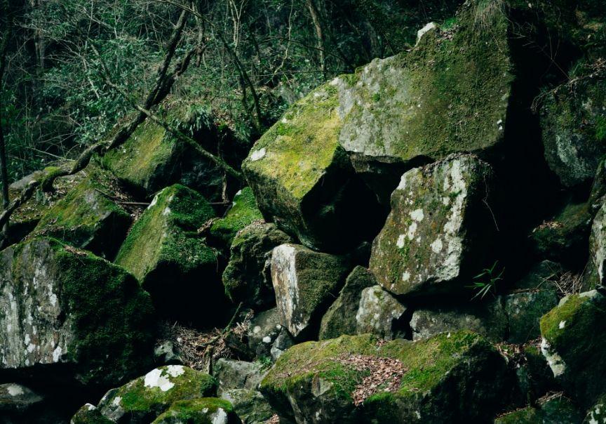 画像:苔むした岩