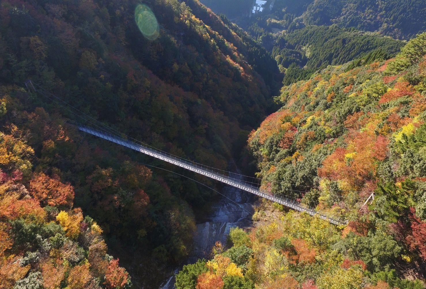 写真:白水滝の吊り橋