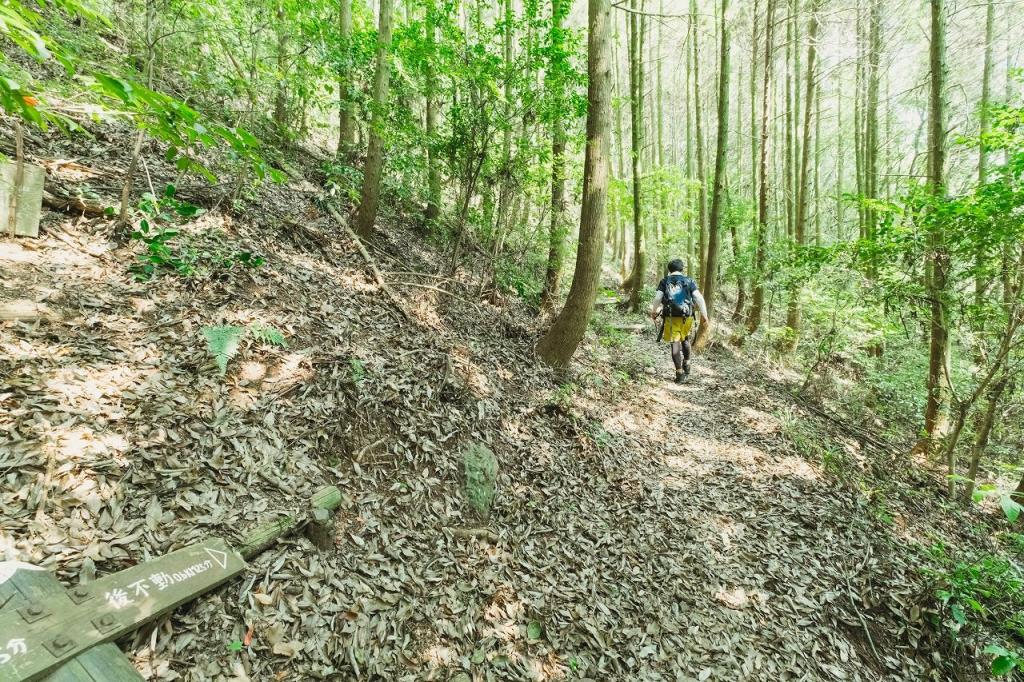 写真：登山道