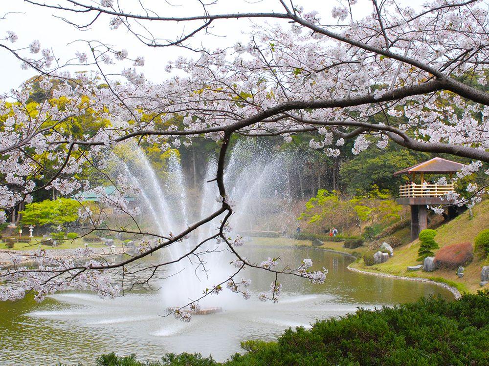 うしぶか公園