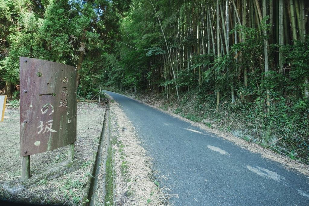 写真：一の坂の入口