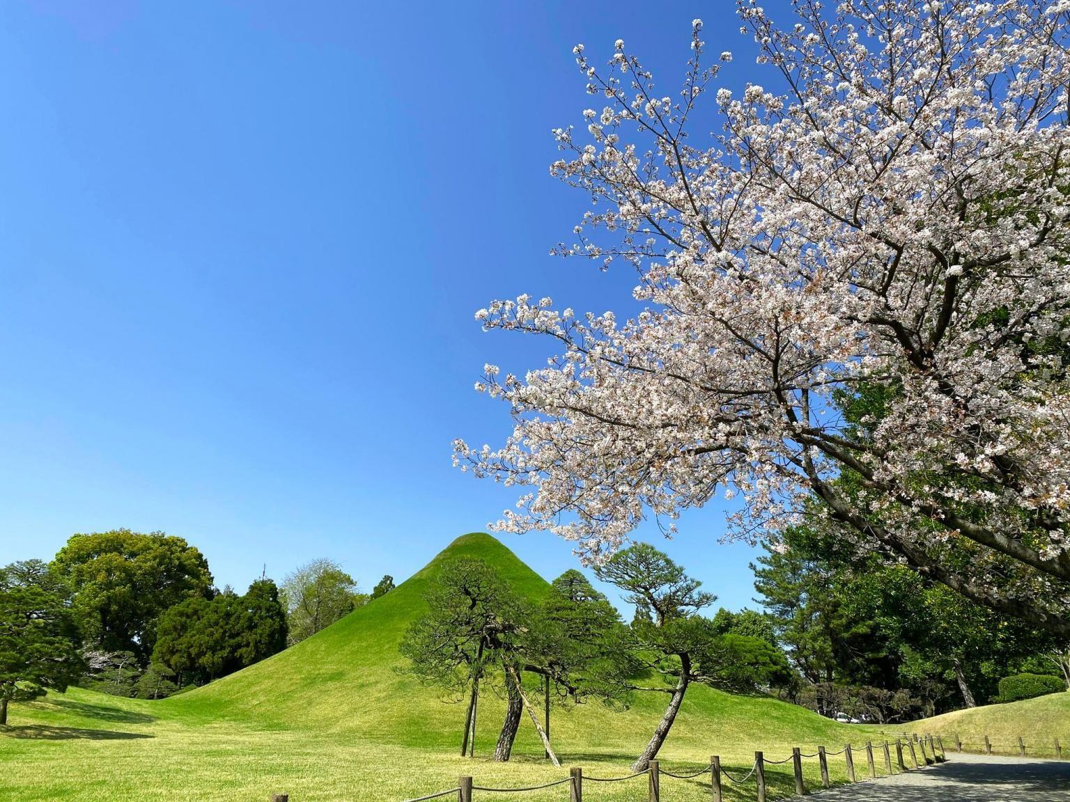 水前寺成趣園の画像