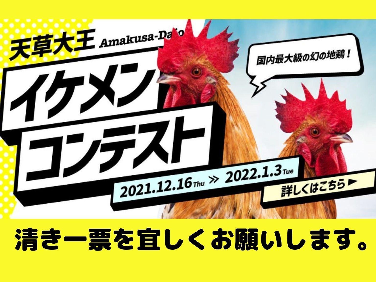 天草大王イケメンコンテスト イベント 公式 熊本県観光サイト もっと もーっと くまもっと