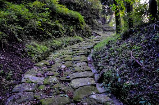 産山石畳道