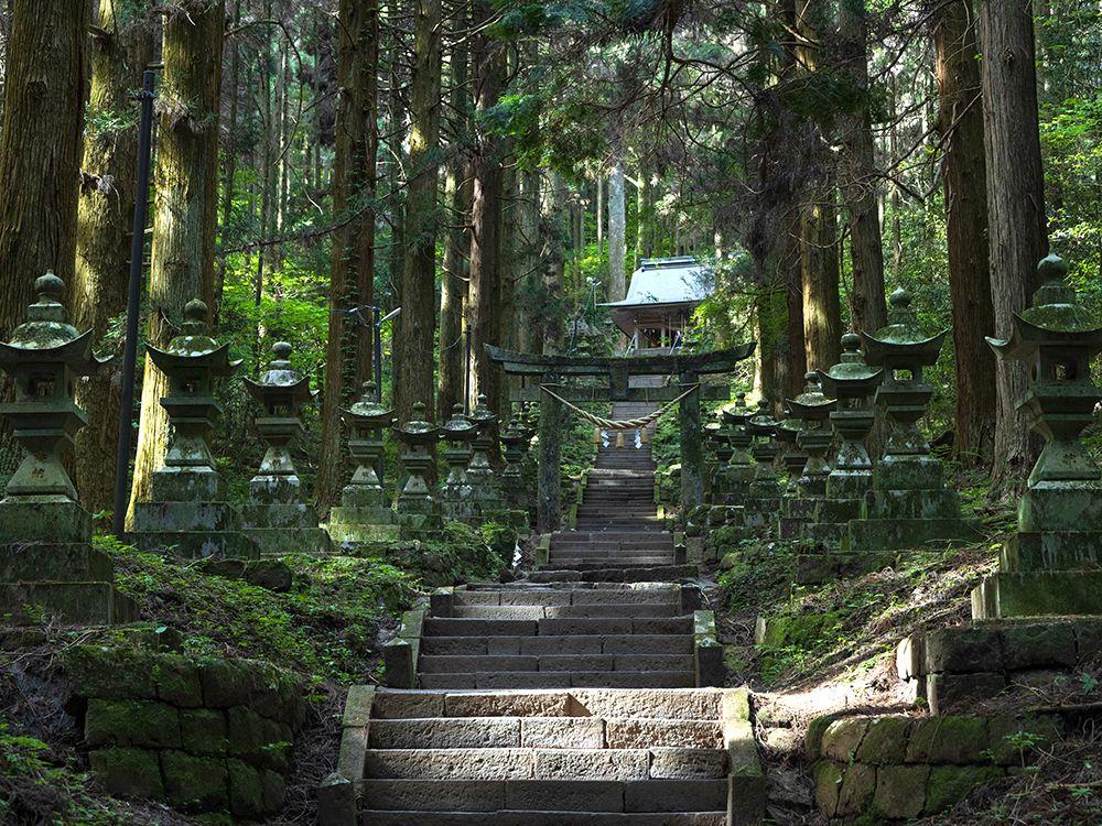 上色見熊野座神社 (かみしきみくまのざじんじゃ) | 観光スポット