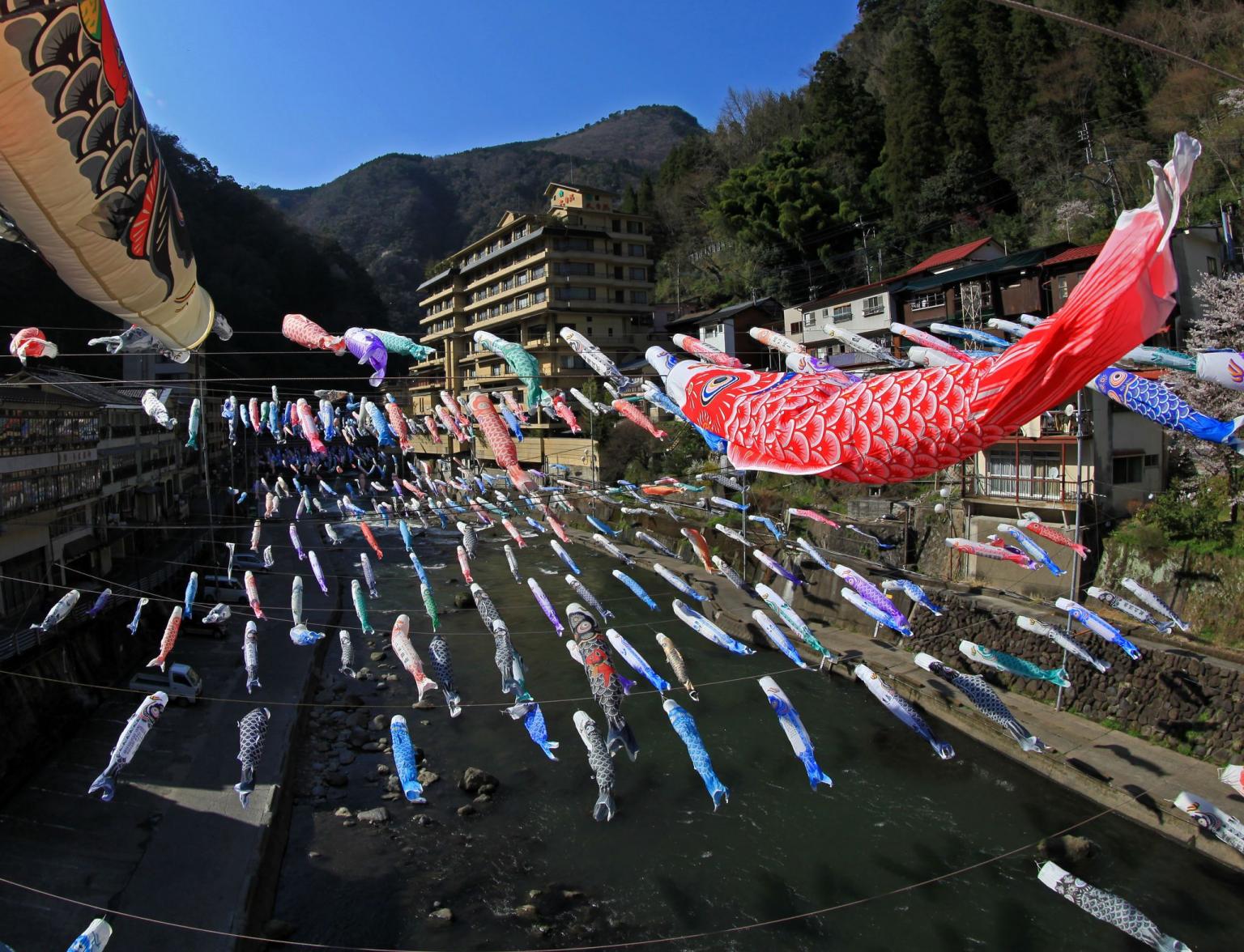 杖立温泉鯉のぼり祭り イベント 公式 熊本県観光サイト もっと もーっと くまもっと