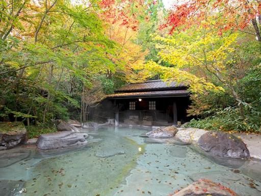 わいた温泉郷の画像