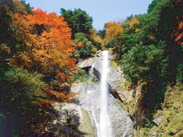 せんだん轟 とどろ の滝 観光地 公式 熊本県観光サイト もっと もーっと くまもっと