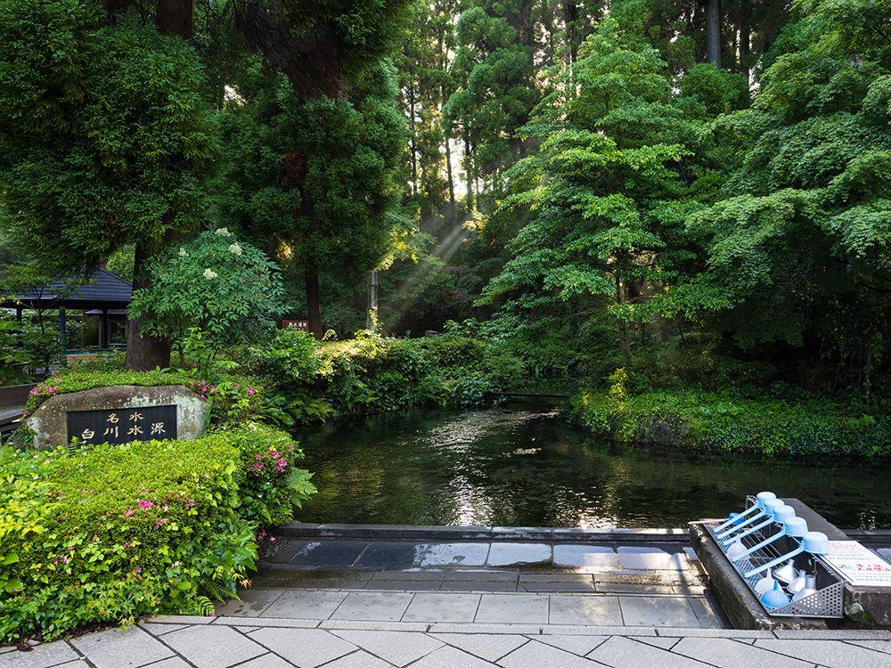 白川水源の画像