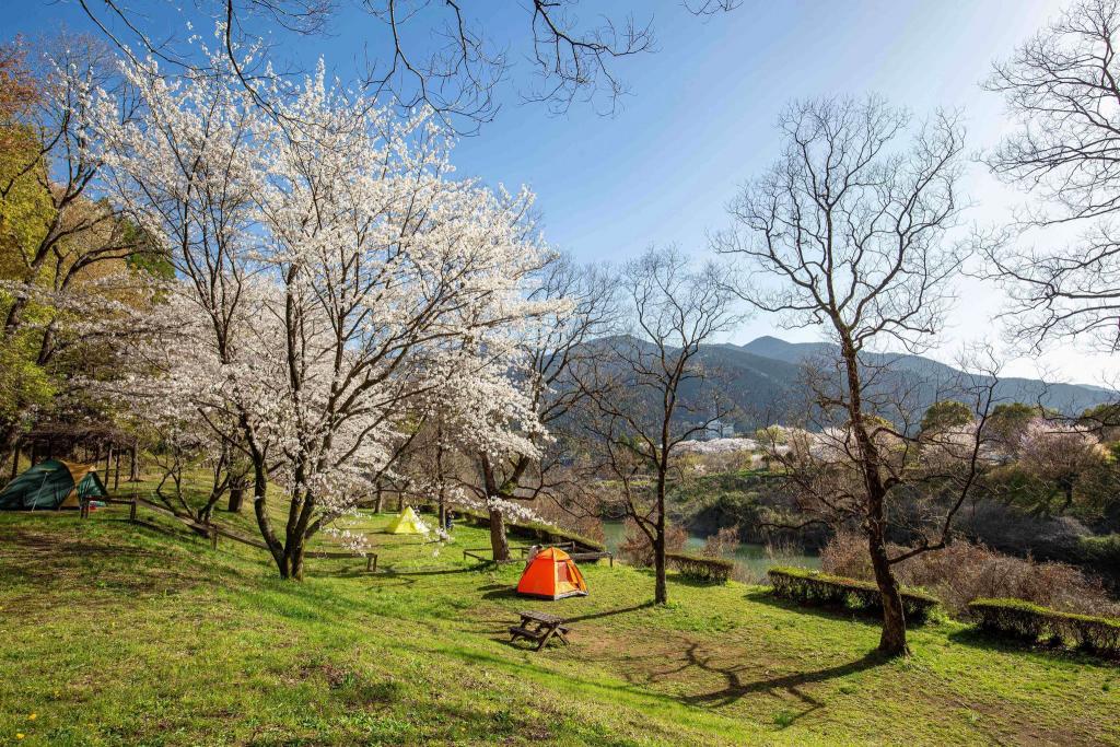 美里の森キャンプ場 ガーデンプレイス 九州への旅行や観光情報は九州旅ネット