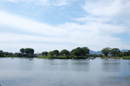 江津湖の写真