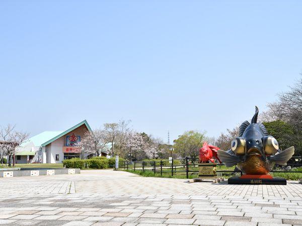 金魚と鯉の郷広場の画像