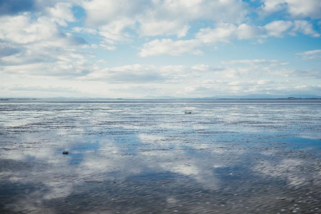 写真：荒尾干潟