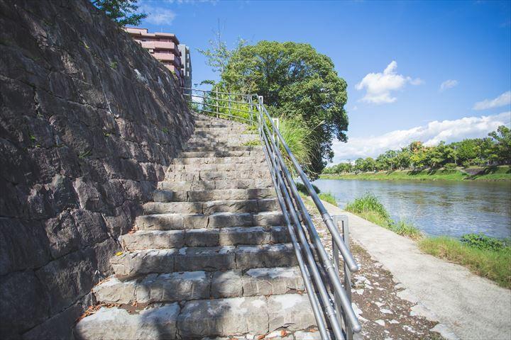 白川河川敷 観光地 公式 熊本県観光サイト もっと もーっと くまもっと