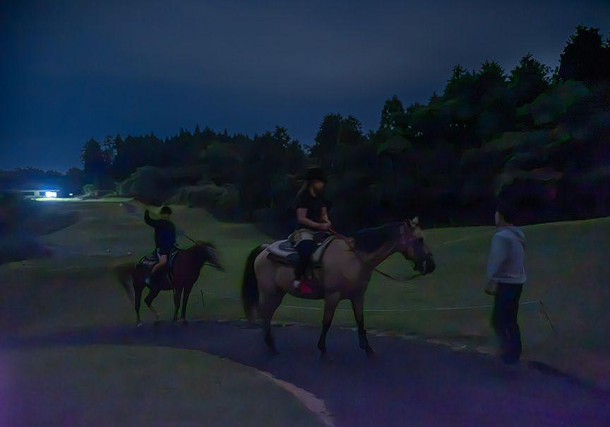 2頭の馬が夜のゴルフ場を進む様子