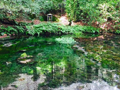 池山水源の写真