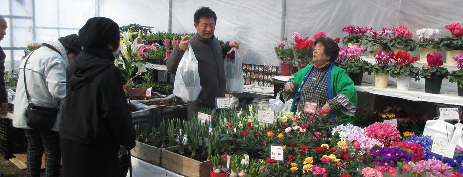 くまもと春の植木市 イベント 公式 熊本県観光サイト もっと もーっと くまもっと