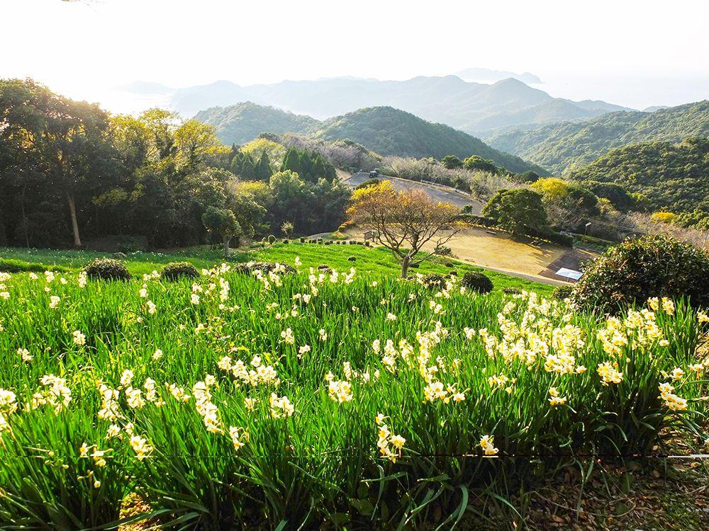 すいせん公園（遠見山公園）