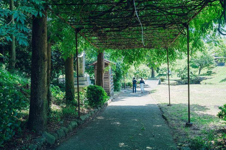 写真：明神池名水公園の遊歩道
